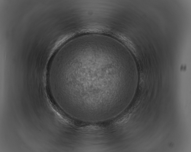 X0000091720578200708241351