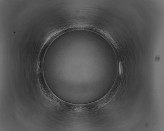 X0000091720579200708241351