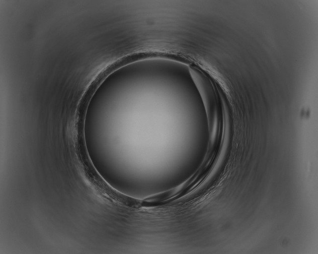X0000091720580200708241351