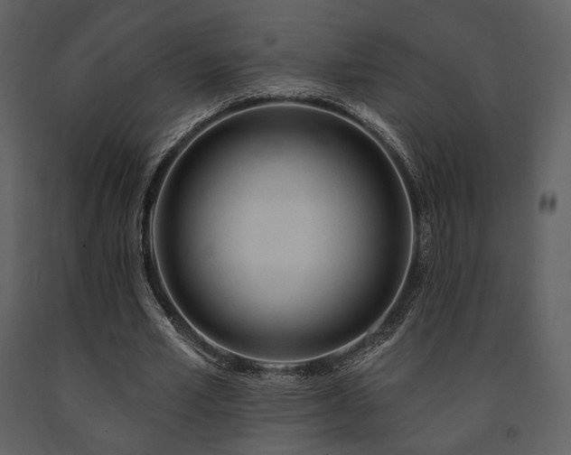 X0000091720581200708241351