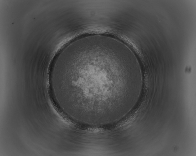 X0000091720582200708241351