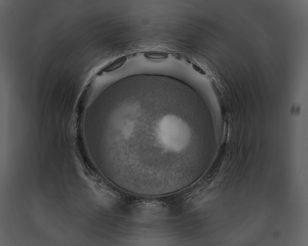 X0000091720583200708241351
