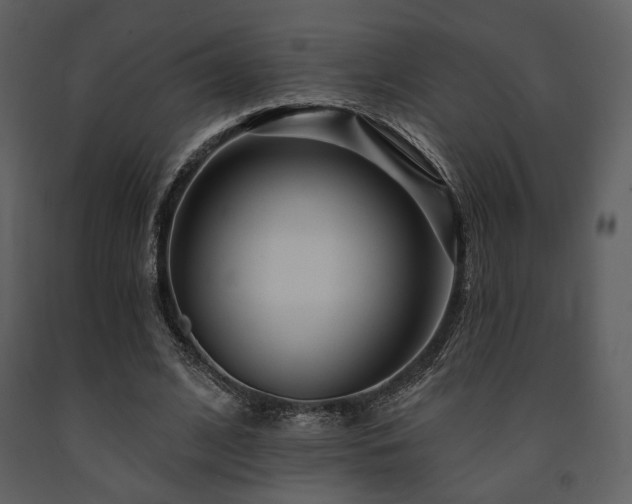X0000091720584200708241351