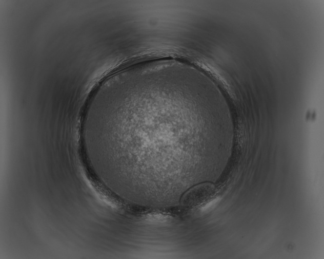 X0000091720586200708241351