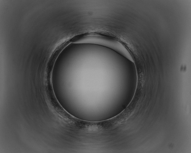 X0000091720587200708241351