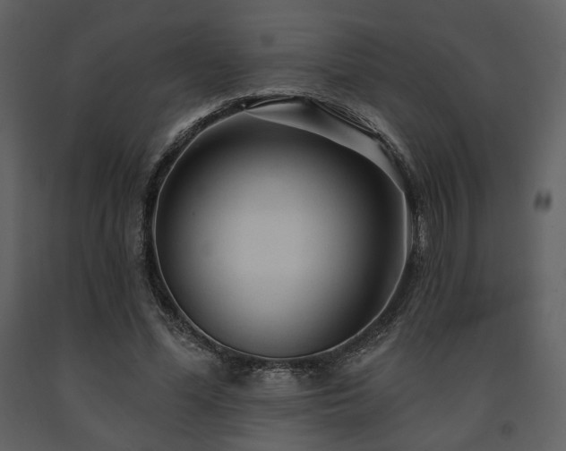 X0000091720588200708241351