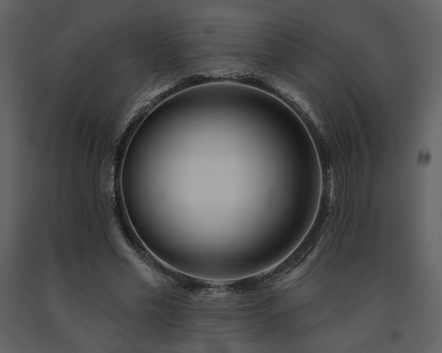 X0000091720589200708241351