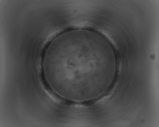 X0000091720590200708241351