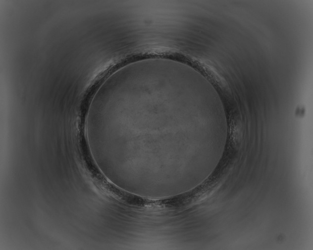 X0000091720591200708241351