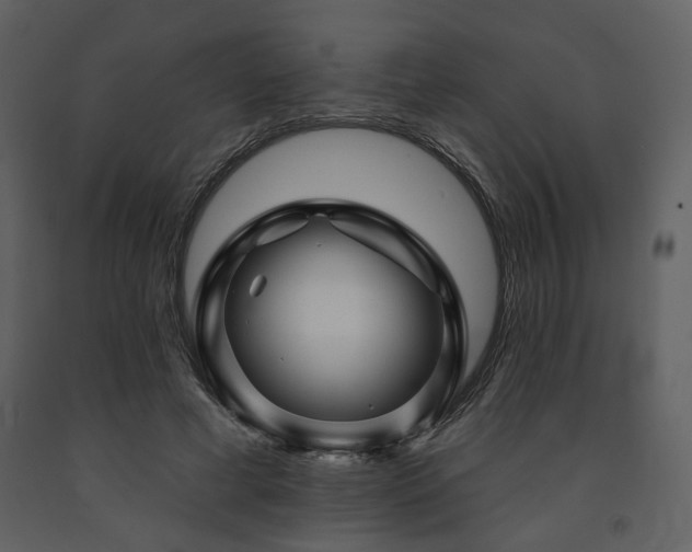 X0000091720593200708241351