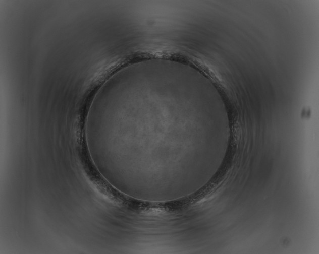 X0000091720594200708241351