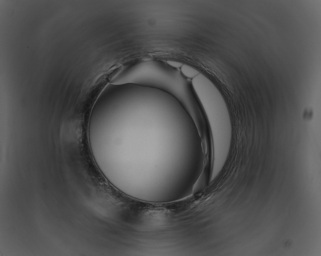 X0000091720595200708241351