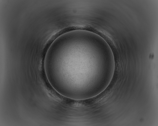 X0000091720596200708241351
