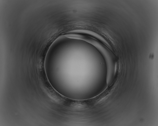 X0000091720597200708241351