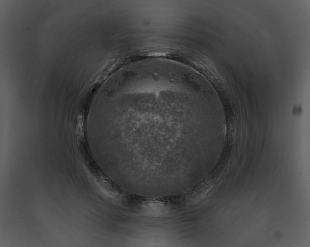 X0000091720598200708241351