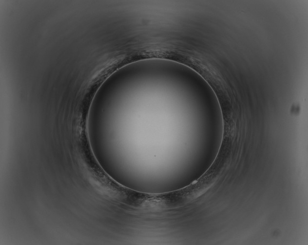 X0000091720599200708241351
