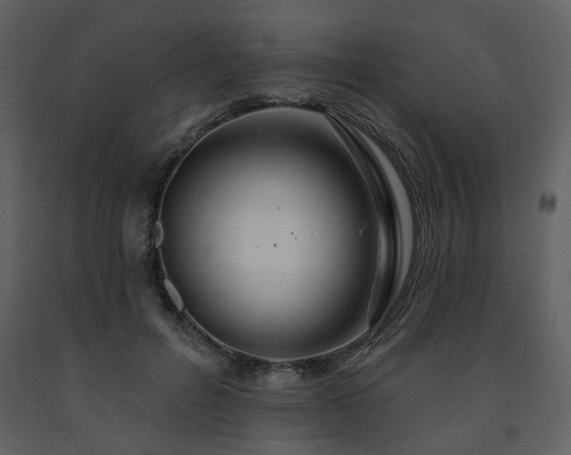 X0000091720600200708241351