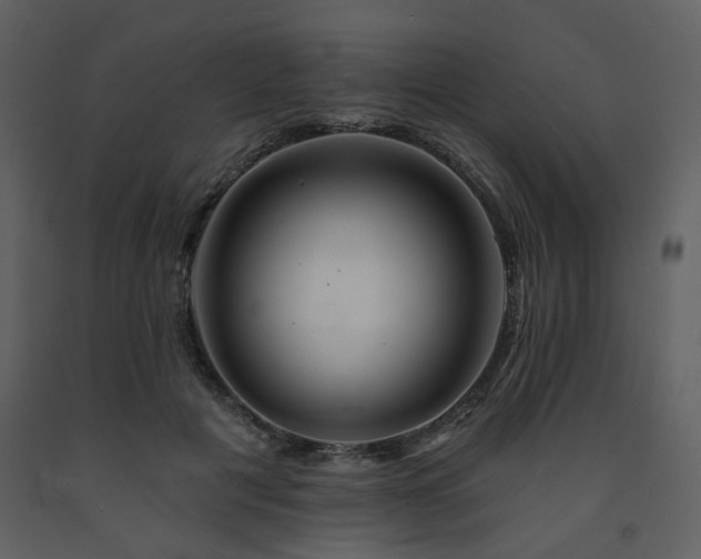 X0000091720601200708241351