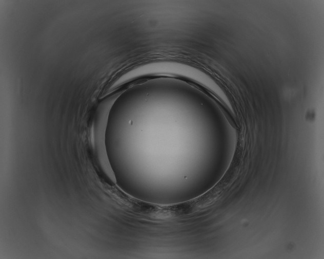 X0000091720604200708241351