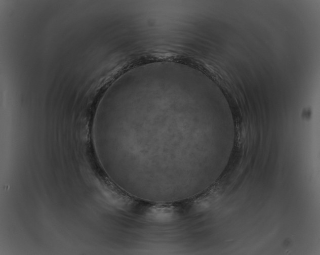 X0000091720606200708241351
