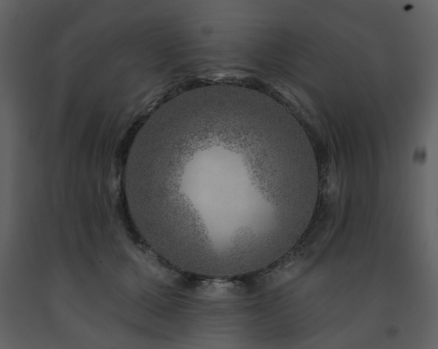 X0000091720607200708241351