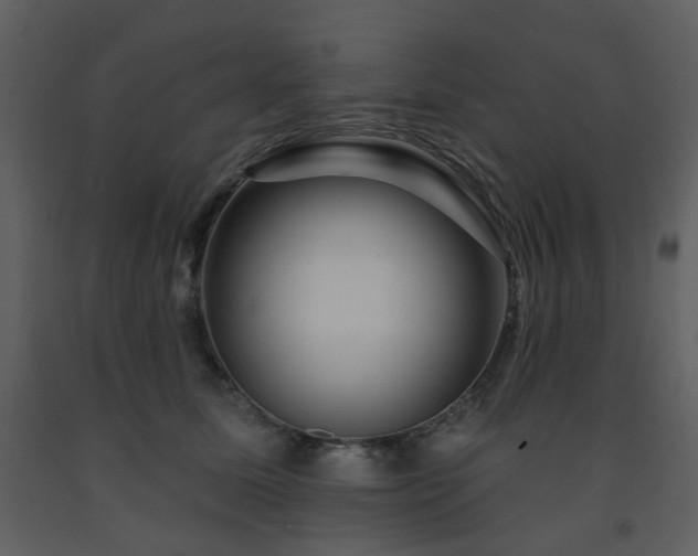 X0000091720611200708241351