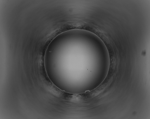 X0000091720612200708241351