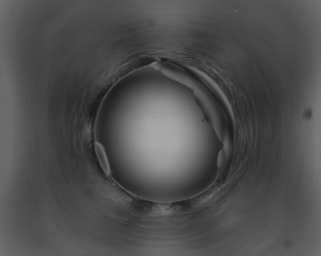 X0000091720613200708241351