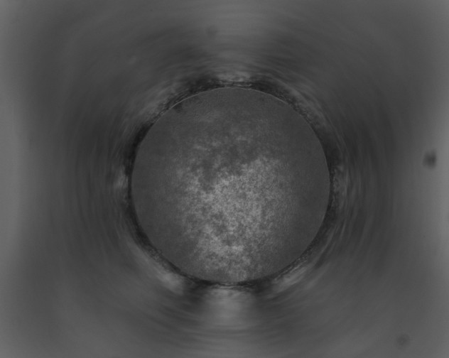 X0000091720614200708241351