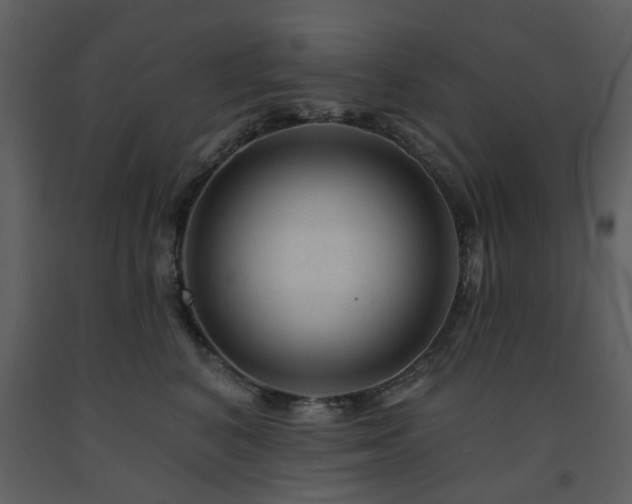X0000091720616200708241351