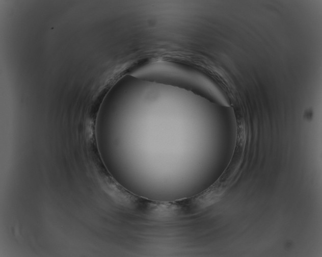 X0000091720621200708241351
