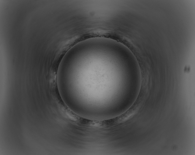 X0000091720624200708241350