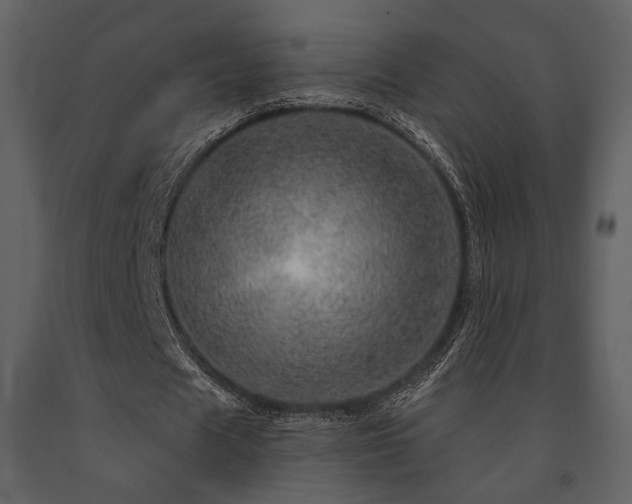 X0000091720625200708241350
