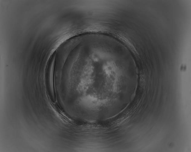 X0000091720626200708241350