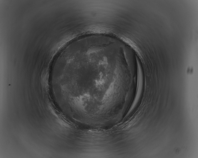 X0000091720627200708241350