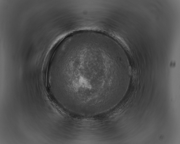 X0000091720628200708241350