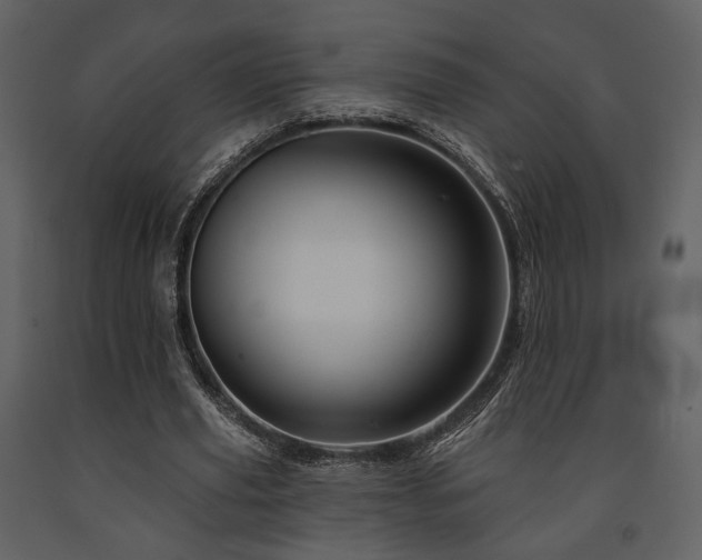 X0000091720629200708241350