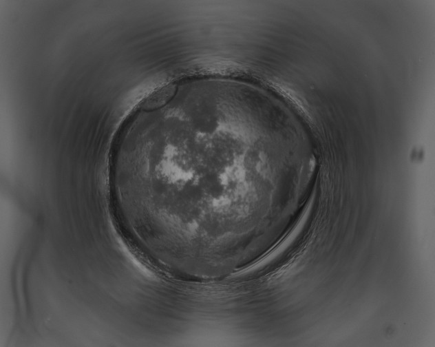 X0000091720630200708241350