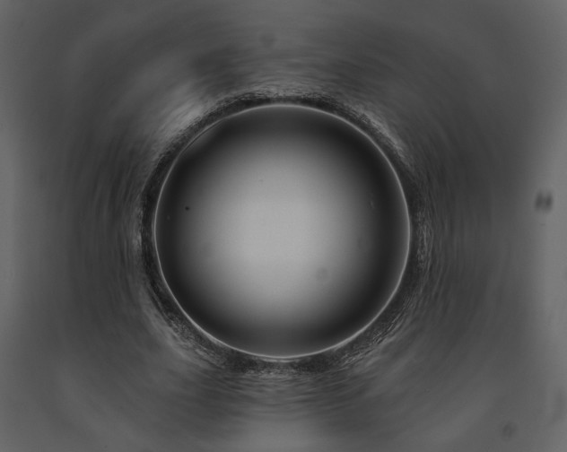 X0000091720631200708241350