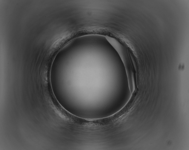 X0000091720633200708241350