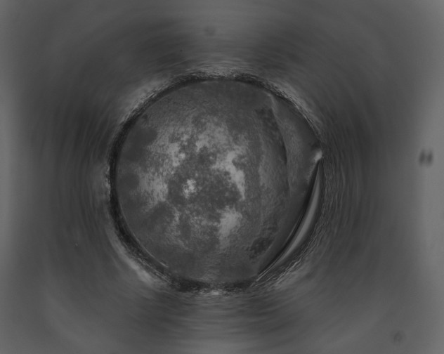 X0000091720634200708241350