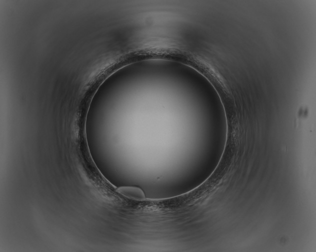 X0000091720635200708241350