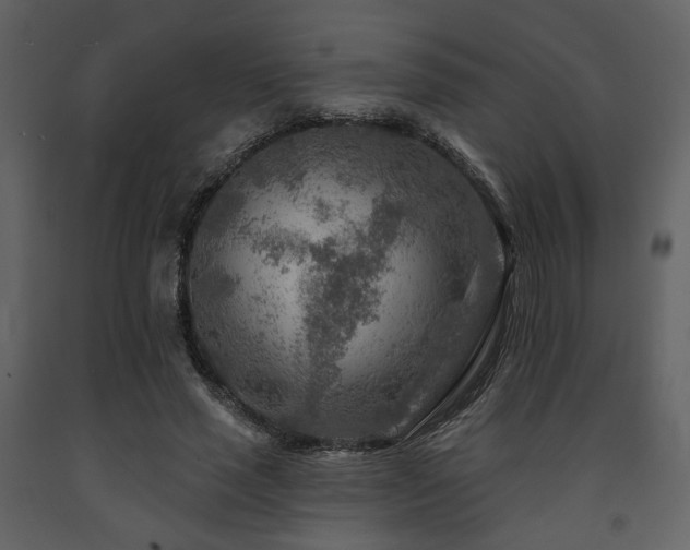X0000091720637200708241350