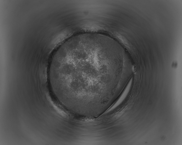 X0000091720638200708241350