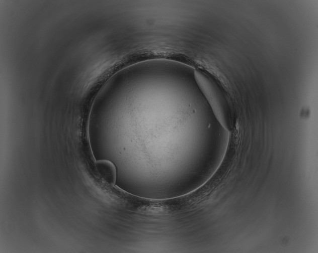 X0000091720639200708241350