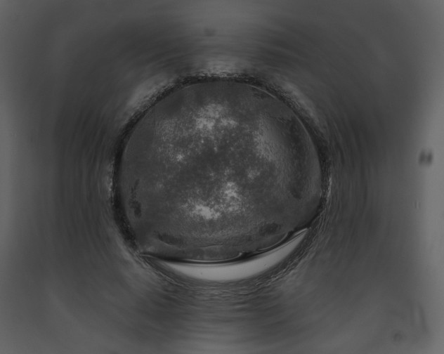 X0000091720640200708241350