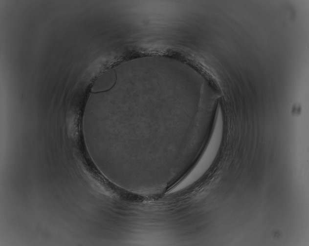 X0000091720641200708241350