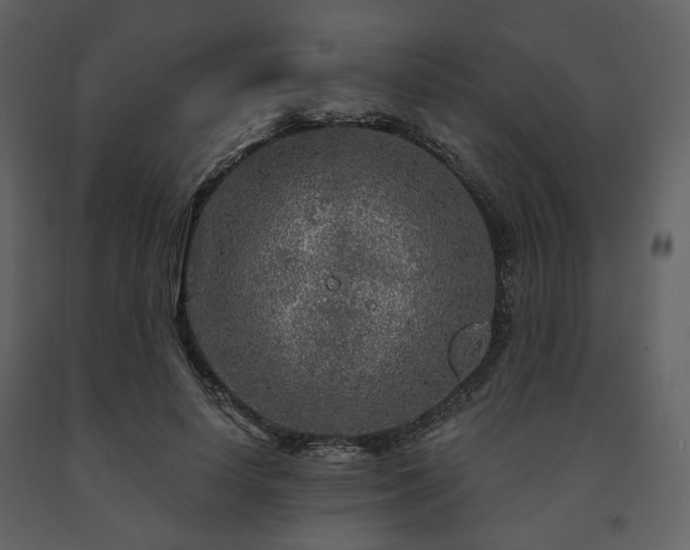 X0000091720642200708241350