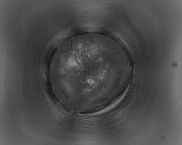 X0000091720643200708241350