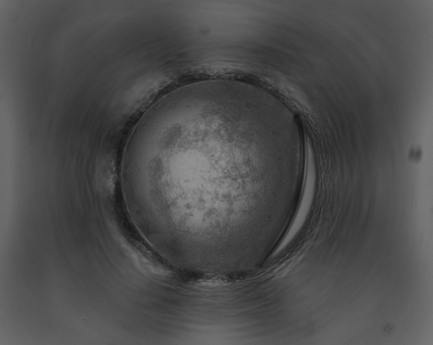 X0000091720644200708241350